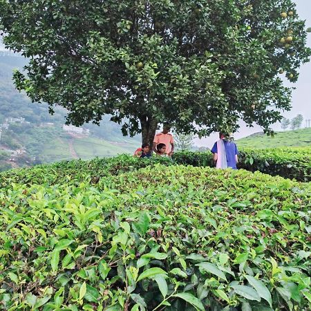 Munnar Tent Hills Resort Devikolam Eksteriør bilde