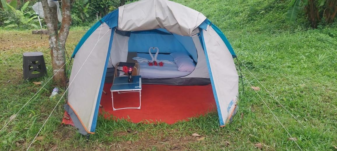 Munnar Tent Hills Resort Devikolam Eksteriør bilde