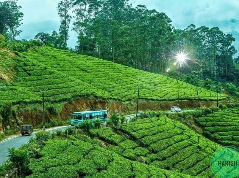 Munnar Tent Hills Resort Devikolam Eksteriør bilde