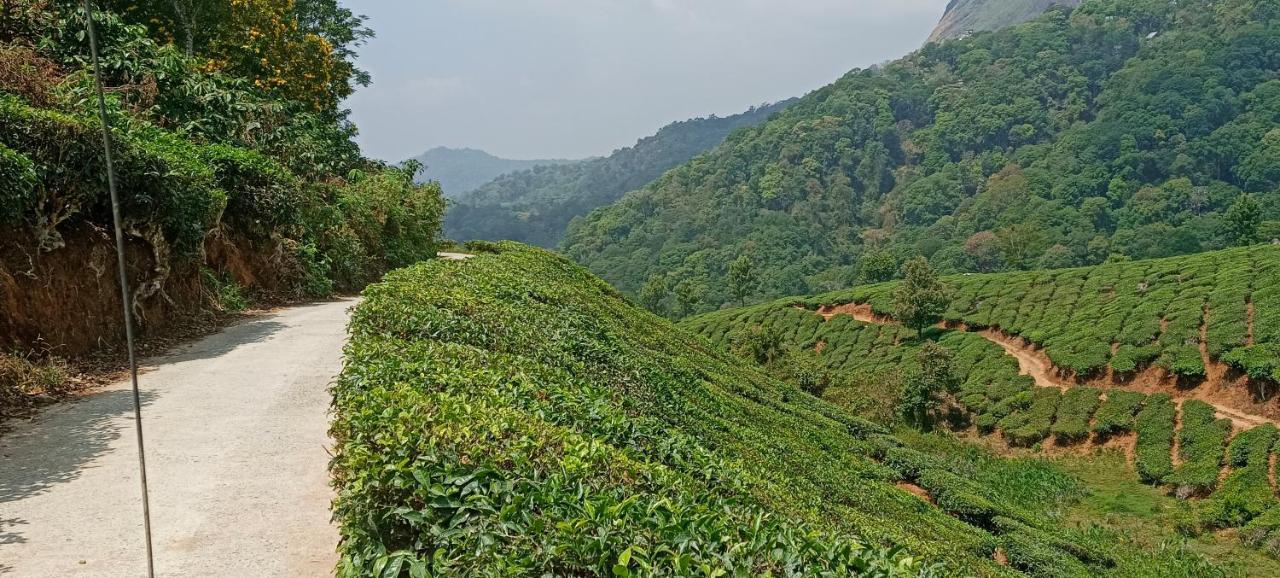 Munnar Tent Hills Resort Devikolam Eksteriør bilde
