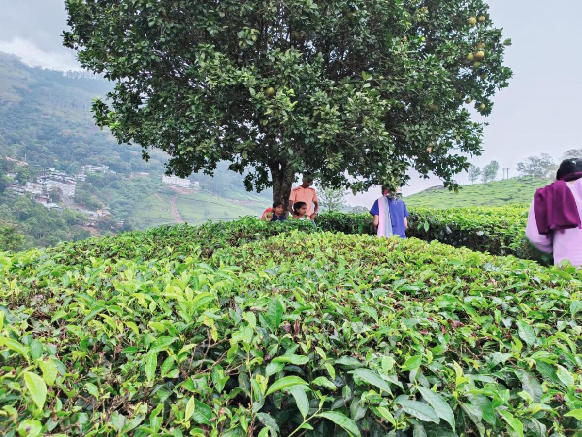 Munnar Tent Hills Resort Devikolam Eksteriør bilde